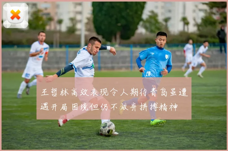 王哲林高效表现令人期待青岛虽遭遇开局困境但仍不放弃拼搏精神