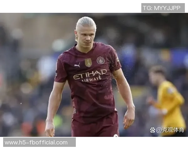 近五年英超最佳引援评选结果揭晓哈兰德力压群雄荣膺第一 近五年英超最佳引援评选结果揭晓哈兰德力压群雄荣膺第一